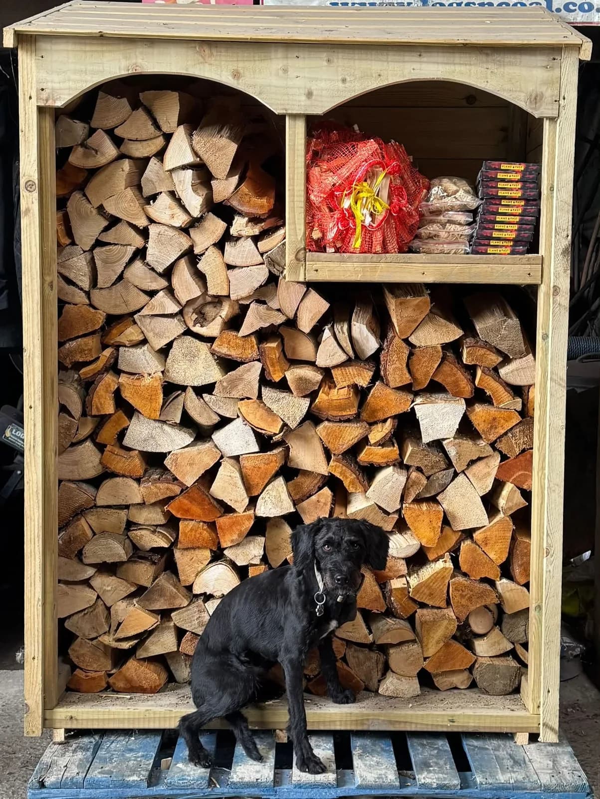 Roofed timber log store filled with firewood, with a dog sitting in front
